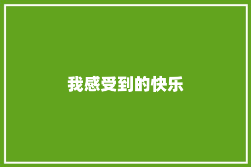 我感受到的快乐