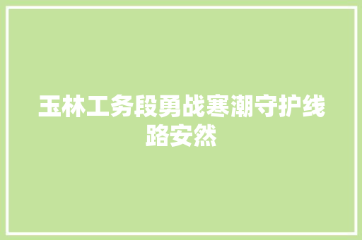 玉林工务段勇战寒潮守护线路安然