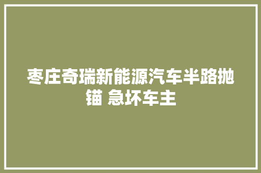枣庄奇瑞新能源汽车半路抛锚 急坏车主