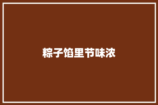 粽子馅里节味浓