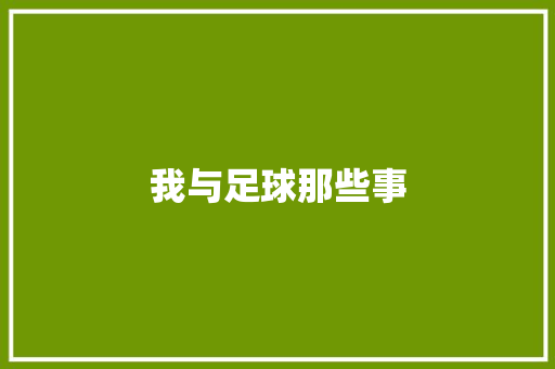 我与足球那些事