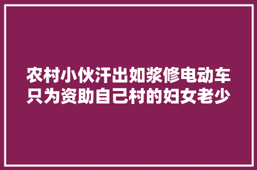农村小伙汗出如浆修电动车只为资助自己村的妇女老少 汽车知识