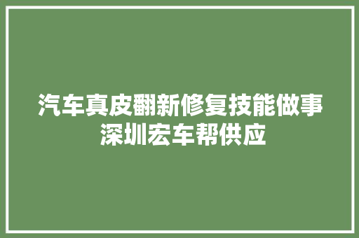 汽车真皮翻新修复技能做事 深圳宏车帮供应