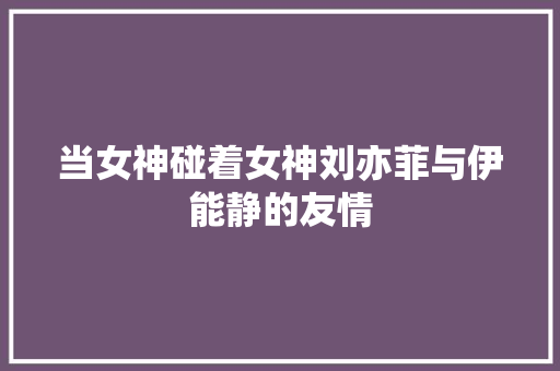 当女神碰着女神刘亦菲与伊能静的友情 休闲娱乐