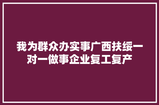我为群众办实事广西扶绥一对一做事企业复工复产