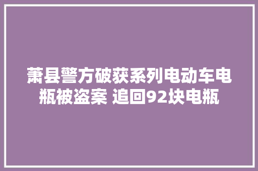 萧县警方破获系列电动车电瓶被盗案 追回92块电瓶