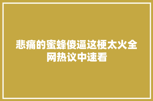 悲痛的蜜蜂傻逼这梗太火全网热议中速看