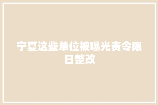 宁夏这些单位被曝光责令限日整改