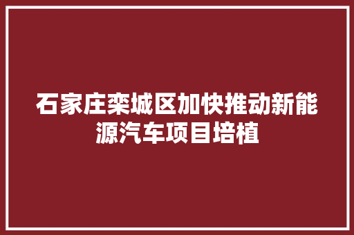 石家庄栾城区加快推动新能源汽车项目培植