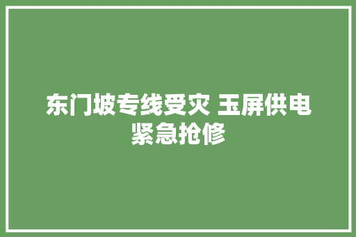 东门坡专线受灾 玉屏供电紧急抢修