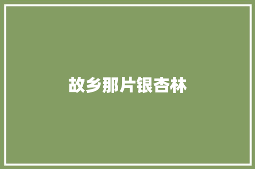故乡那片银杏林