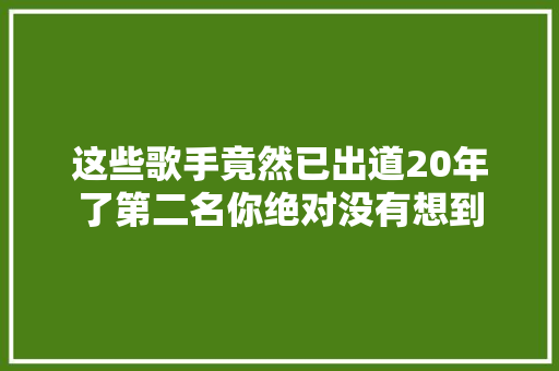 这些歌手竟然已出道20年了第二名你绝对没有想到