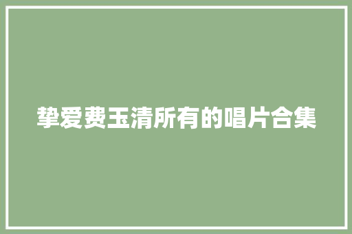 挚爱费玉清所有的唱片合集