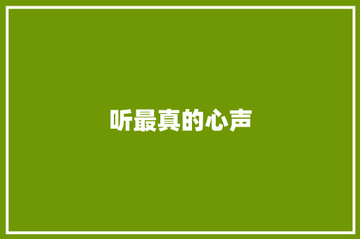 听最真的心声