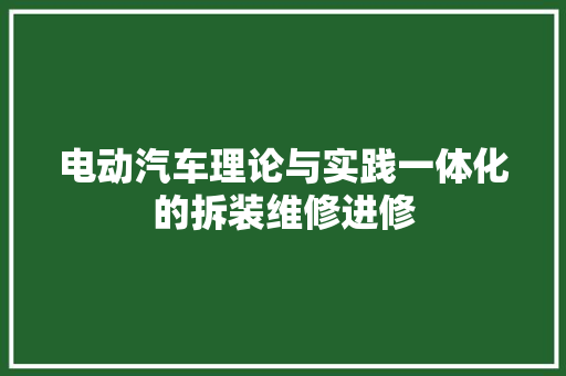 电动汽车理论与实践一体化的拆装维修进修