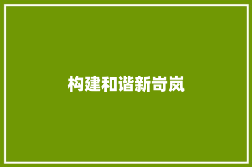 构建和谐新岢岚