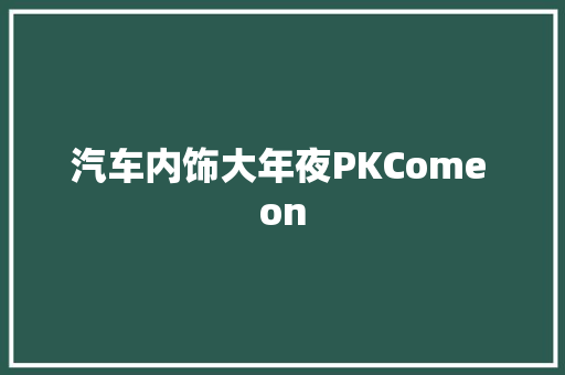 汽车内饰大年夜PKCome on