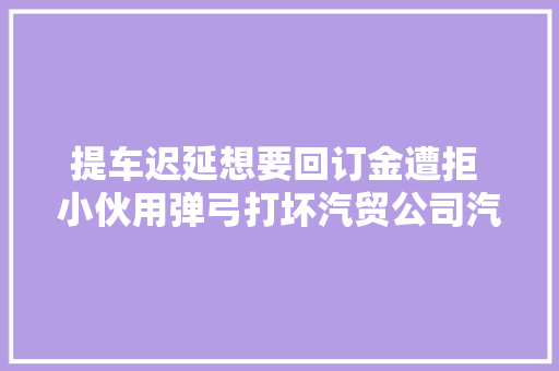 提车迟延想要回订金遭拒 小伙用弹弓打坏汽贸公司汽车