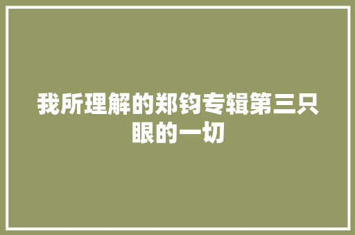 我所理解的郑钧专辑第三只眼的一切