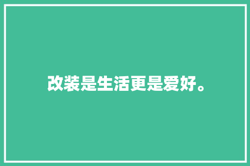 改装是生活更是爱好。