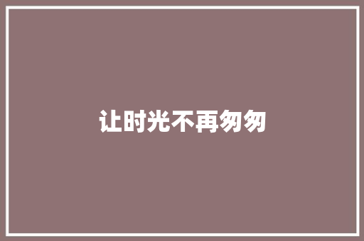 让时光不再匆匆
