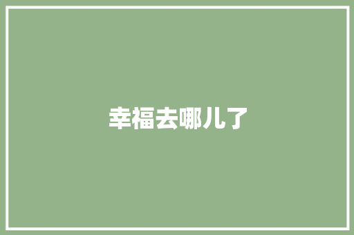 幸福去哪儿了