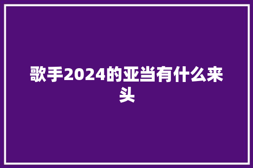 歌手2024的亚当有什么来头
