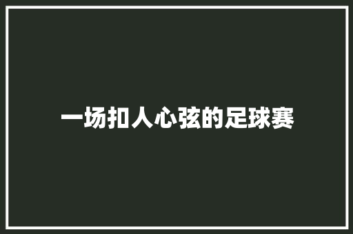 一场扣人心弦的足球赛
