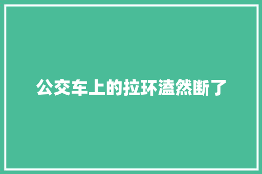 公交车上的拉环溘然断了