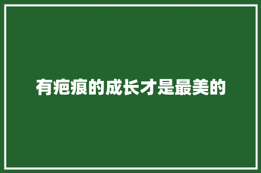 有疤痕的成长才是最美的