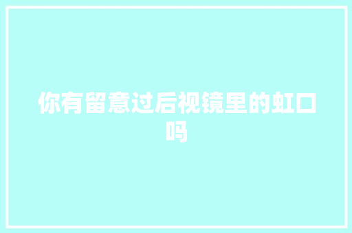 你有留意过后视镜里的虹口吗