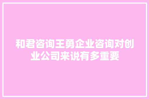 和君咨询王勇企业咨询对创业公司来说有多重要