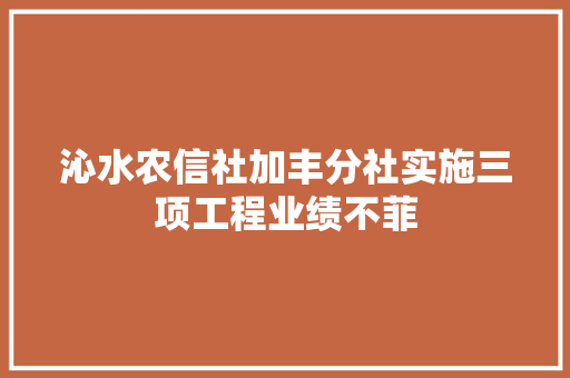 沁水农信社加丰分社实施三项工程业绩不菲