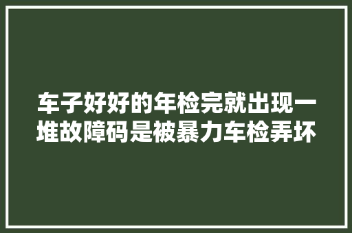 车子好好的年检完就出现一堆故障码是被暴力车检弄坏了吗