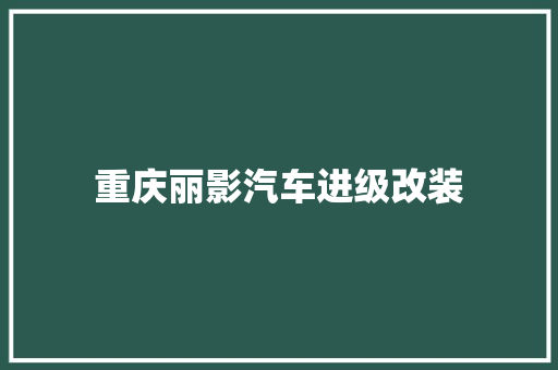 重庆丽影汽车进级改装