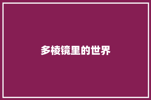多棱镜里的世界