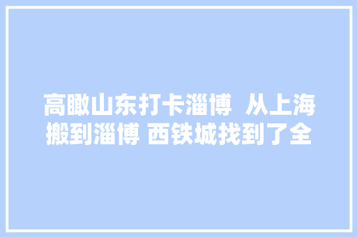 高瞰山东打卡淄博  从上海搬到淄博 西铁城找到了全世界最好的钣金制造厂