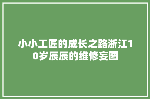 小小工匠的成长之路浙江10岁辰辰的维修妄图