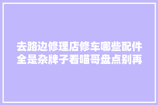 去路边修理店修车哪些配件全是杂牌子看喵哥盘点别再被坑了