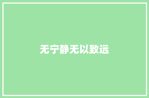 无宁静无以致远