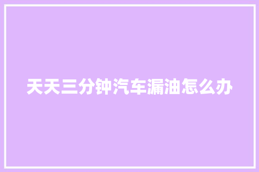 天天三分钟汽车漏油怎么办