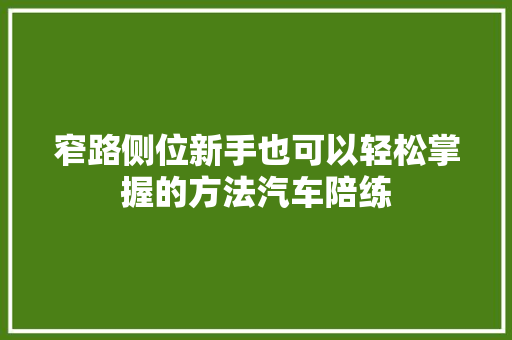 窄路侧位新手也可以轻松掌握的方法汽车陪练