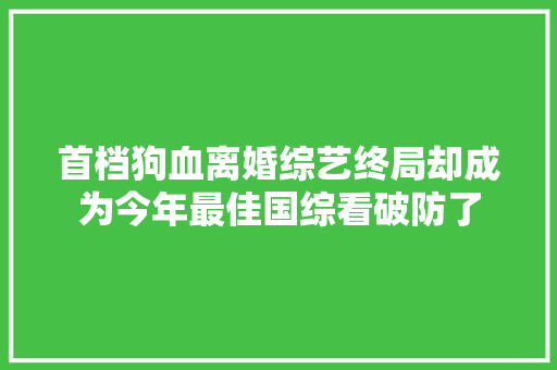 首档狗血离婚综艺终局却成为今年最佳国综看破防了