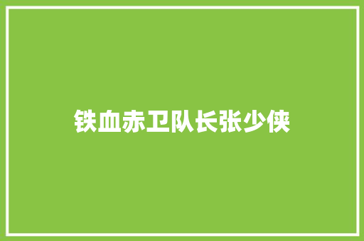 铁血赤卫队长张少侠