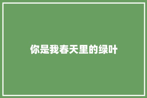 你是我春天里的绿叶
