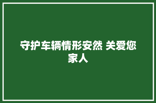 守护车辆情形安然 关爱您家人