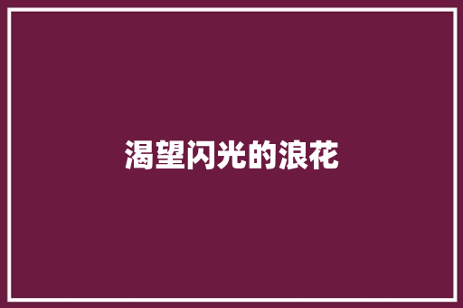 渴望闪光的浪花