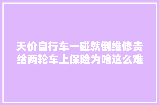 天价自行车一碰就倒维修贵给两轮车上保险为啥这么难