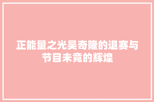 正能量之光吴奇隆的退赛与节目未竟的辉煌