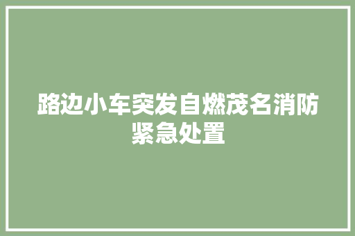 路边小车突发自燃茂名消防紧急处置